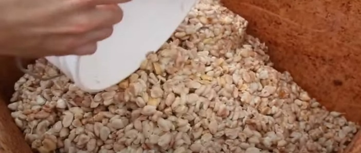 A person holding a white plate over a pile of white beansDescription automatically generated