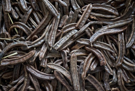 carob vs cocoa: is carob better than chocolate? 