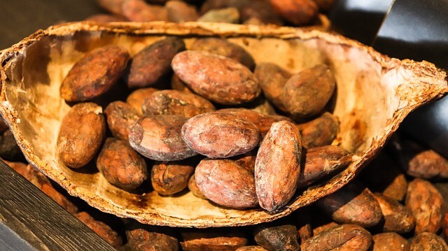 A bowl of cocoa beansDescription automatically generated