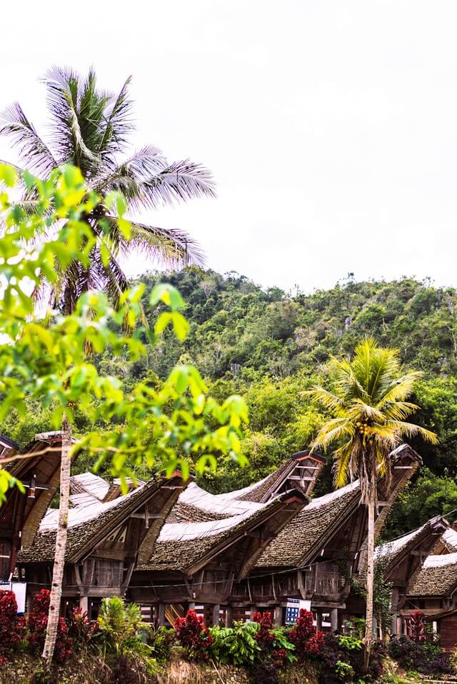 A group of huts with trees in the backgroundDescription automatically generated