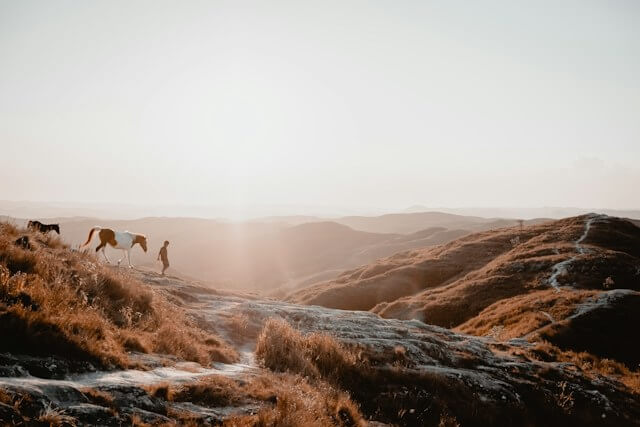 A person walking a horse on a hillDescription automatically generated