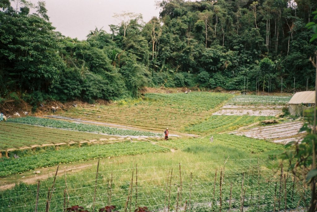 malaysia chocolate industry
